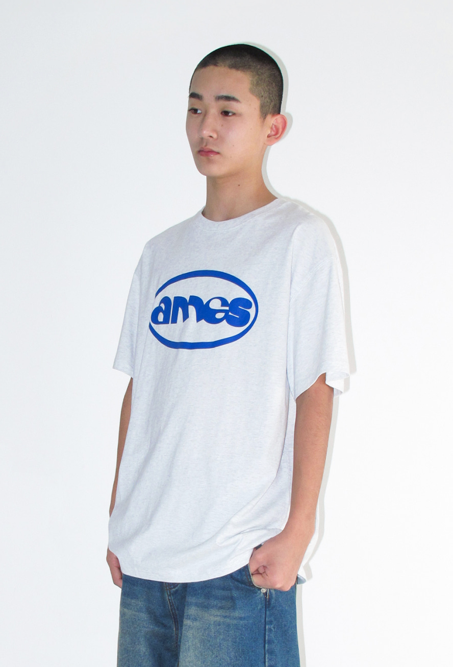 AMES WORLDWIDE Ames circle logo symbol tee light grey