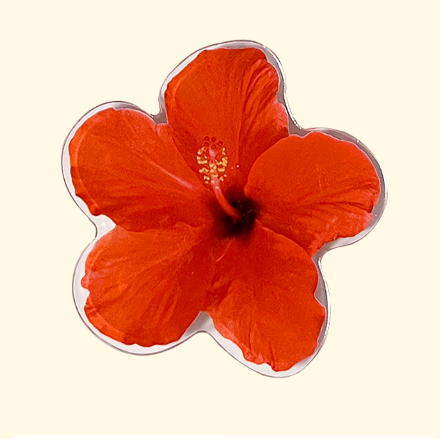 SUMMERDREAMER Hibiscus tok