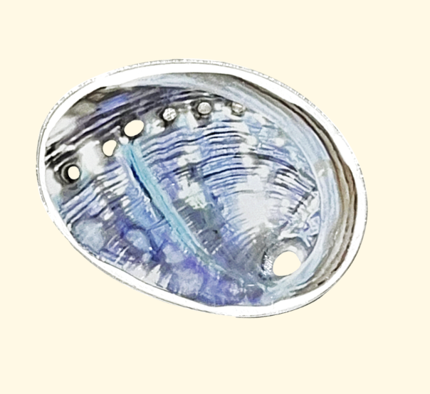 SUMMERDREAMER Opal shell tok