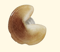 SUMMERDREAMER Fortune cookie tok
