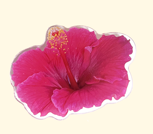 SUMMERDREAMER Pink hibiscus tok