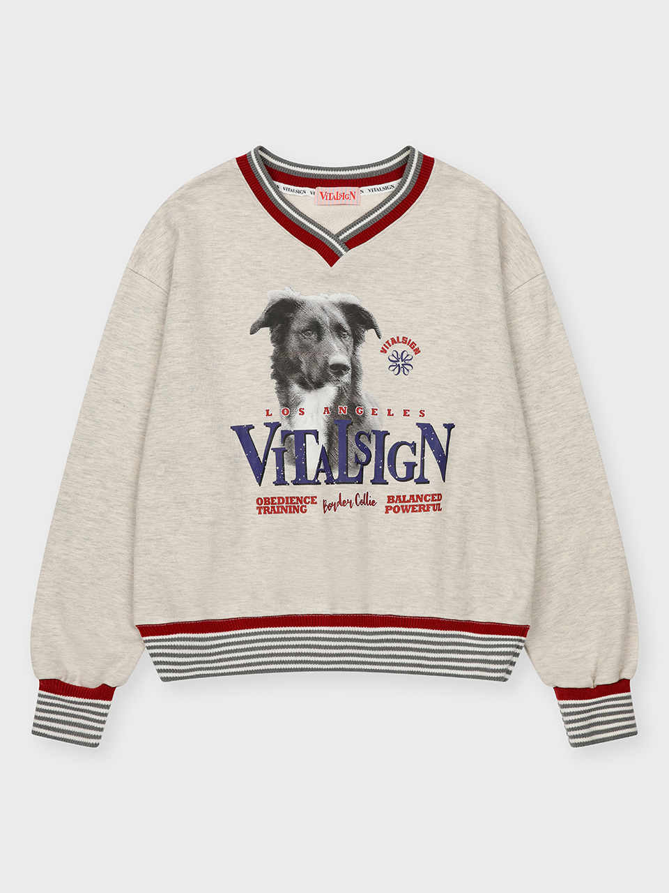 vitalsign-fw-26-border-collie-v-neck-sweatshirt-gray-s