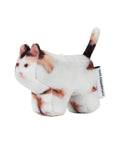 soft-thumbnail-ss-26-jigoo-domestic-shorthair-print-o