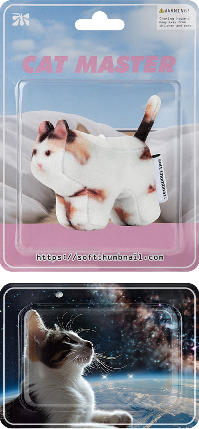 soft-thumbnail-seasonless-jigoo,-domestic-shorthair