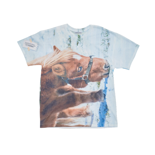 crappyroom-ss-24-peaceful-image-tshirts-buddy