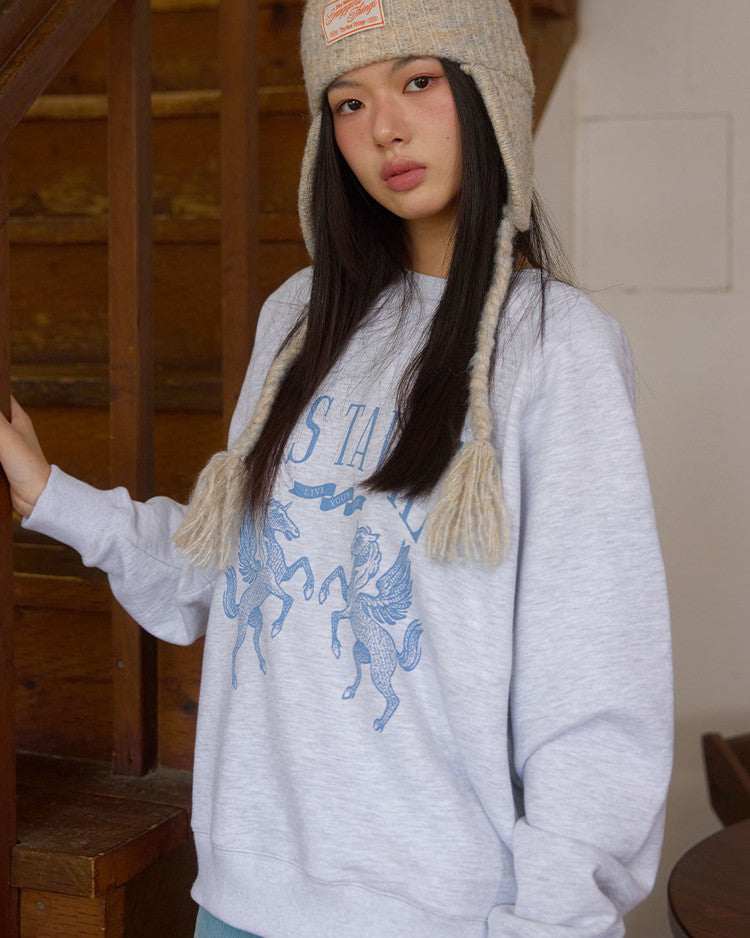 snuggiest-fw-26-lucas-raglan-sweatshirt-melange-grey-melange-gray-s