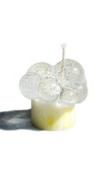 zaah-library-fw-26-frilly-clear-s