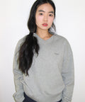 ames-worldwide-ss-26-basic-v-neck-knit-grey-grey-s