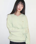 ames-worldwide-ss-26-basic-v-neck-knit-green-green-s
