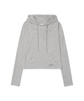 ames-worldwide-fw-26-classic-crop-hoodie-ls-tee-grey-gray-s