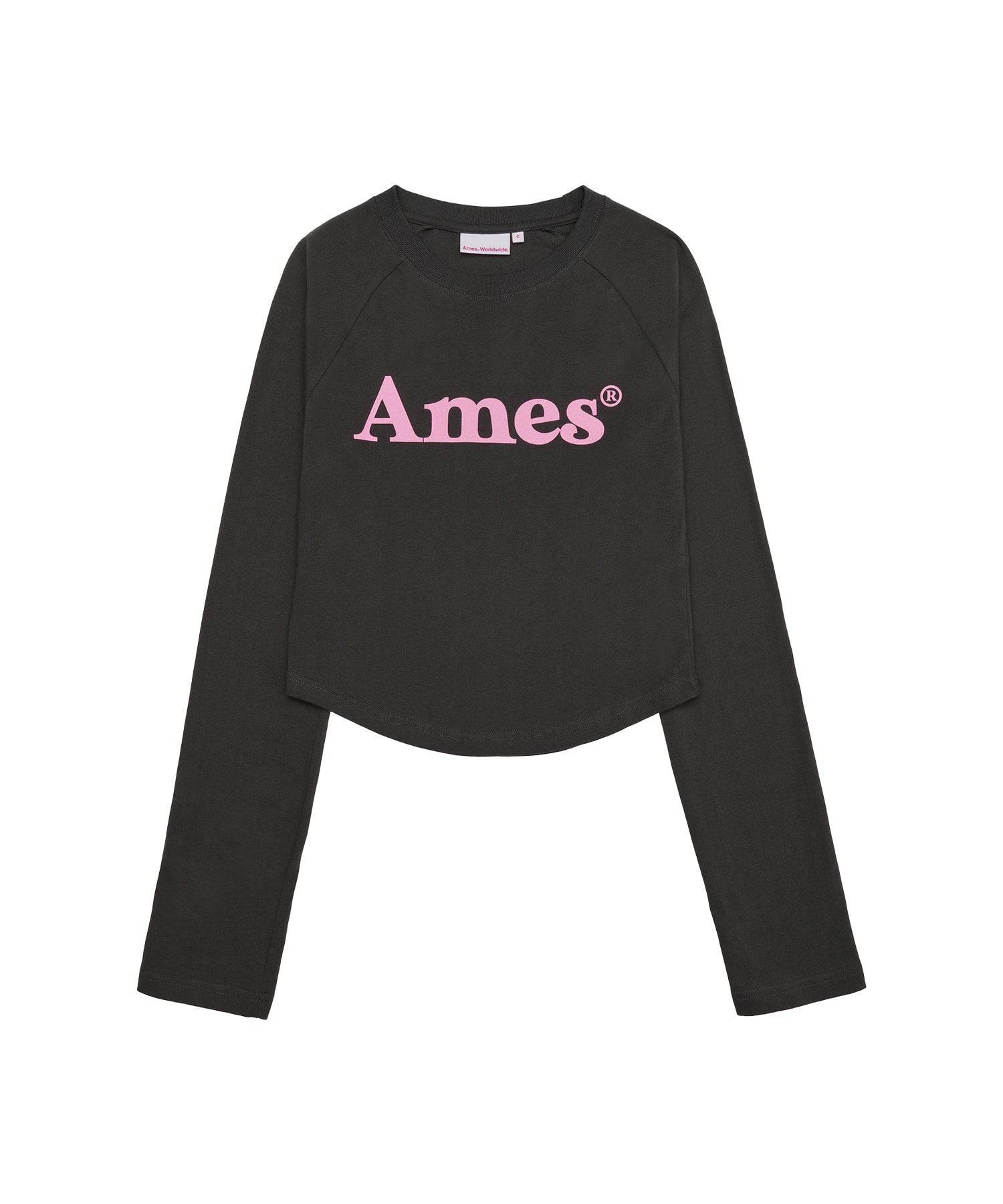 ames-worldwide-fw-25-basic-logo-longsleeve-tee-charcoal-charcoal-s