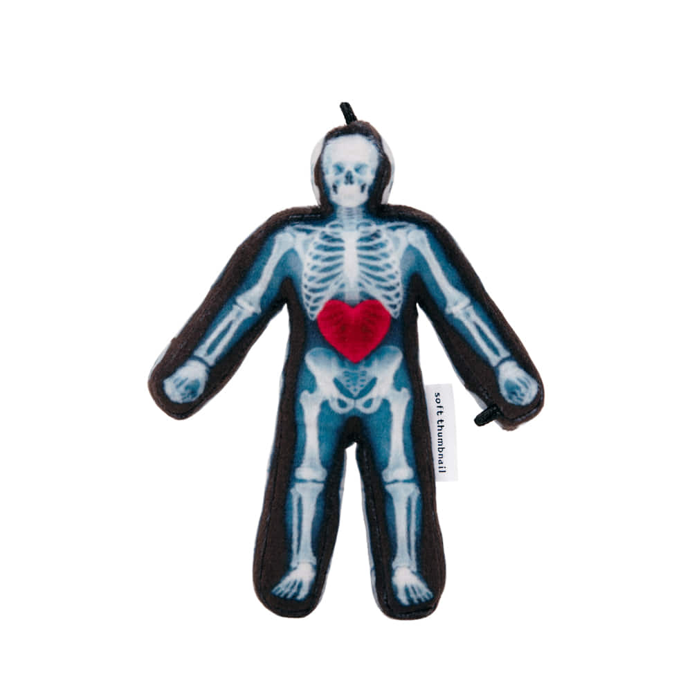 soft-thumbnail-fw-26-x-ray-human-patient-x-ray-s