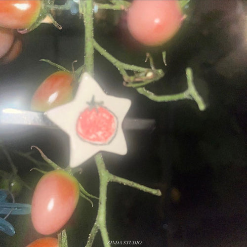 zindastudio-ss-26-star-hairpin-tomato-s