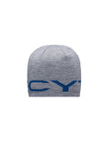 lecyto-fw-26-logo-jacquard-beanie-gray-gray-s