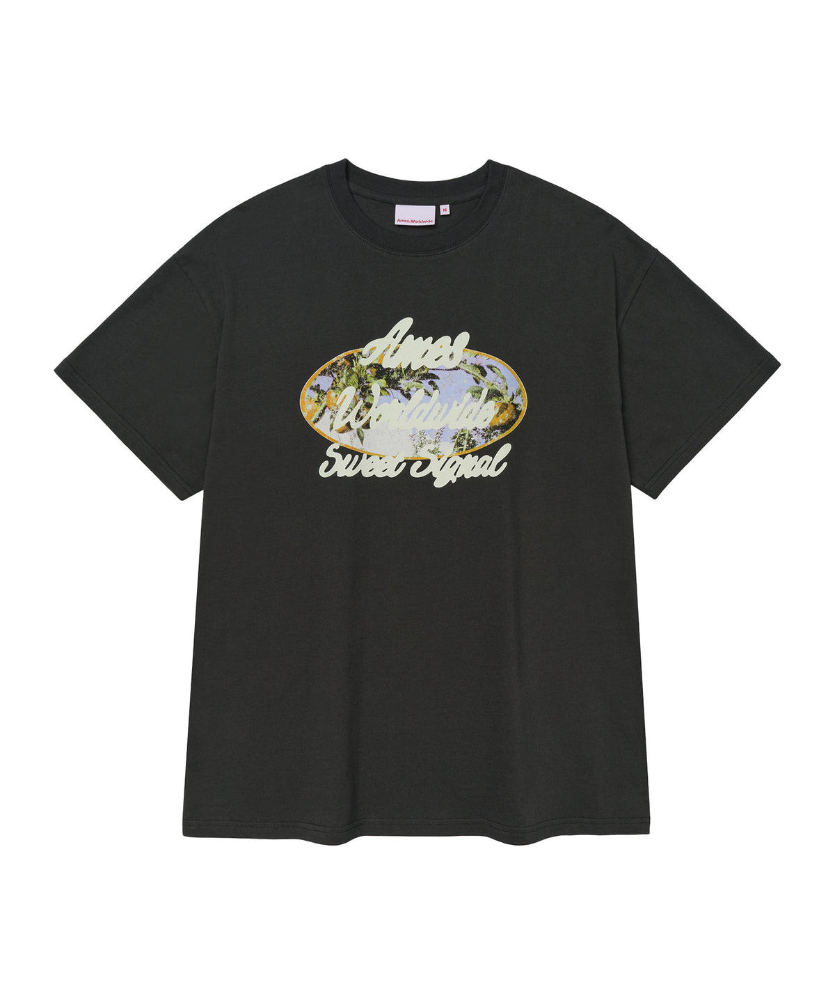 ames-worldwide-fw-26-palm-tree-oval-tee-charcoal-s