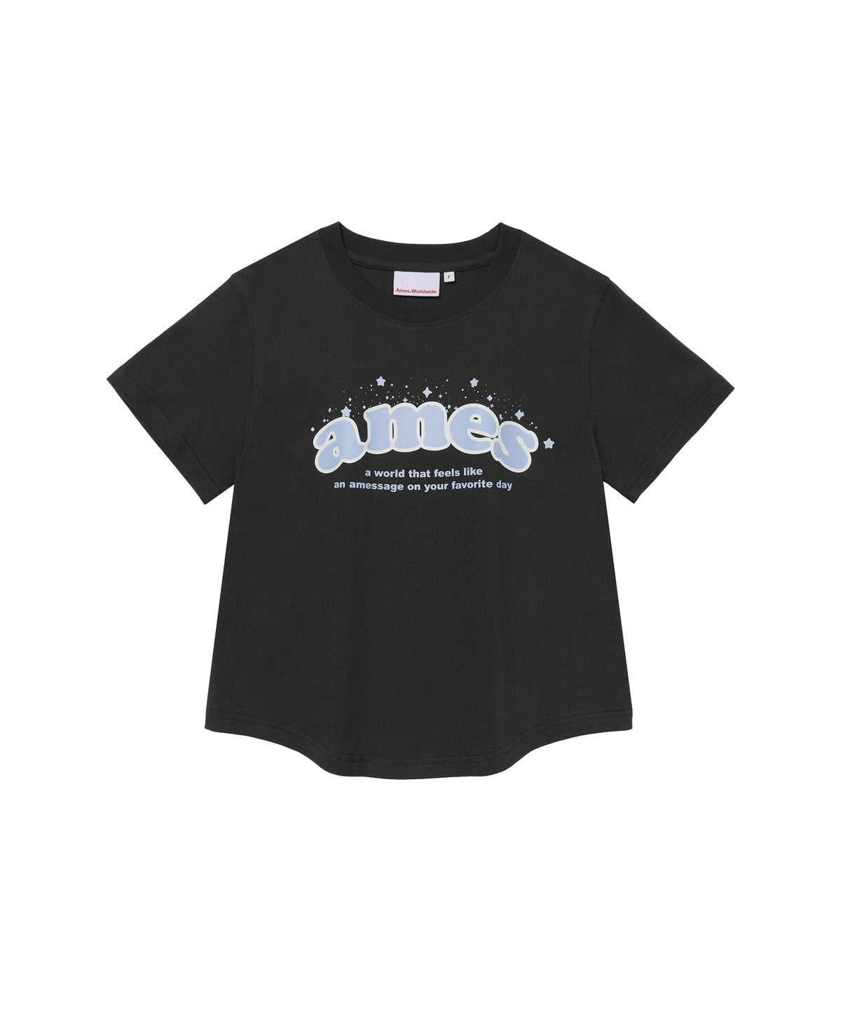 ames-worldwide-fw-26-shining-ames-round-hem-crop-tee-charcoal-charcoal-s