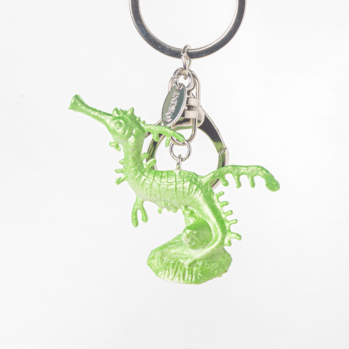 inde-x-fw-26-ocean-index-003-green-s