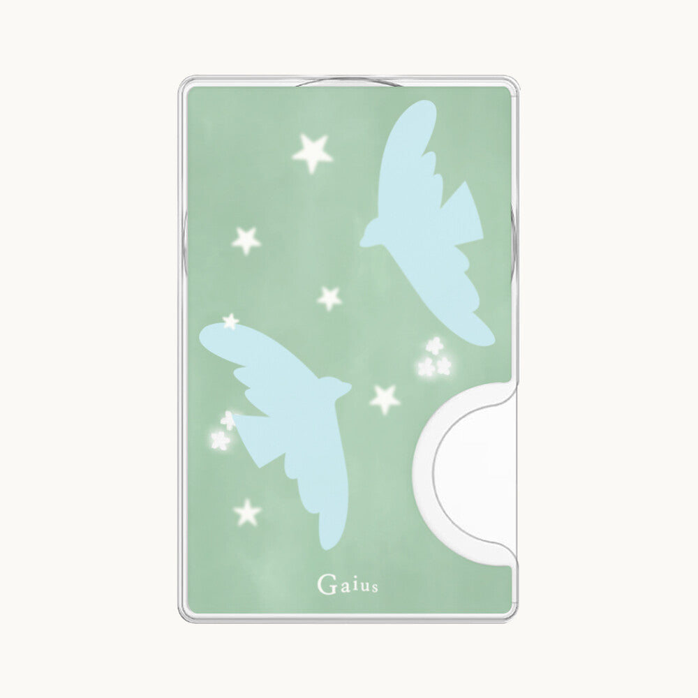 gaius-ss-26-blue-bird-pocket-mint-s