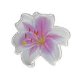 summerdreamer-fw-26-lily-tok-pink-s