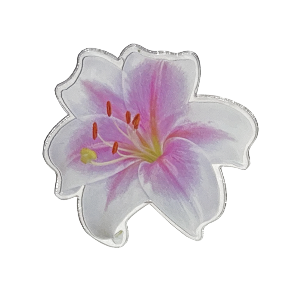 summerdreamer-fw-26-lily-tok-pink-s